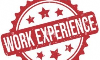 Work experience logo